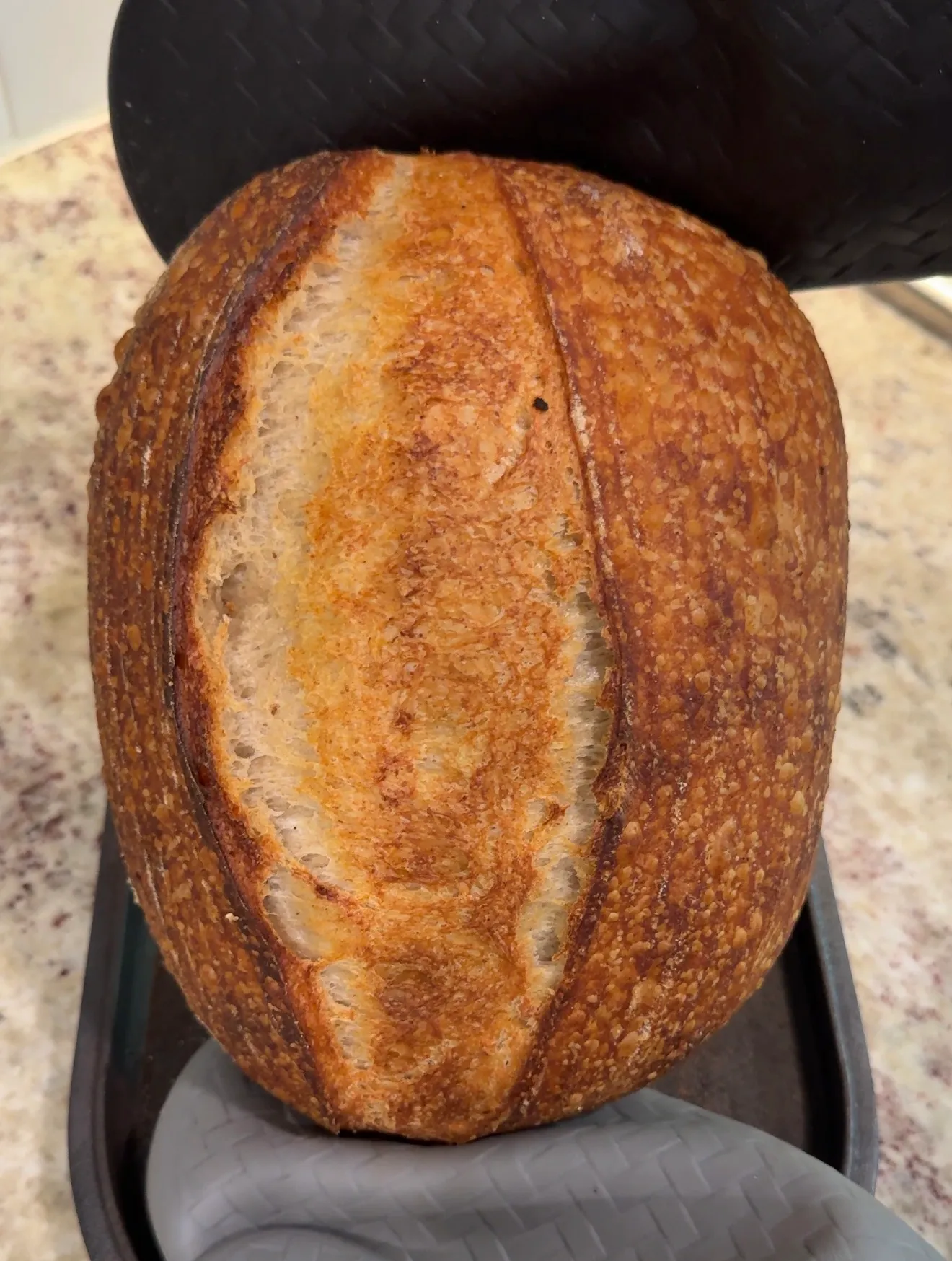 48h Cold Country Loaf, photographed at scoring